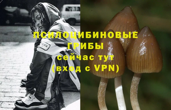 не бодяженный Алзамай