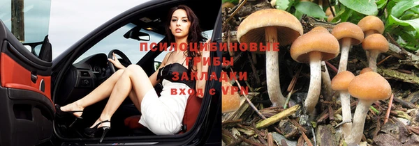 трава Абаза