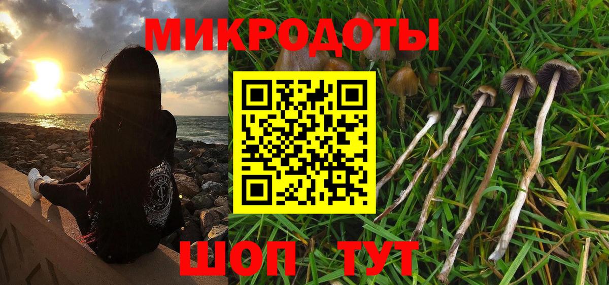 цены наркотик  Псилоцибиновые грибы GOLDEN TEACHER  Вход с VPN  Абакан 