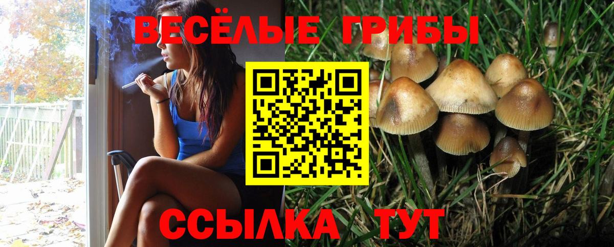 Галлюциногенные грибы мицелий Абакан