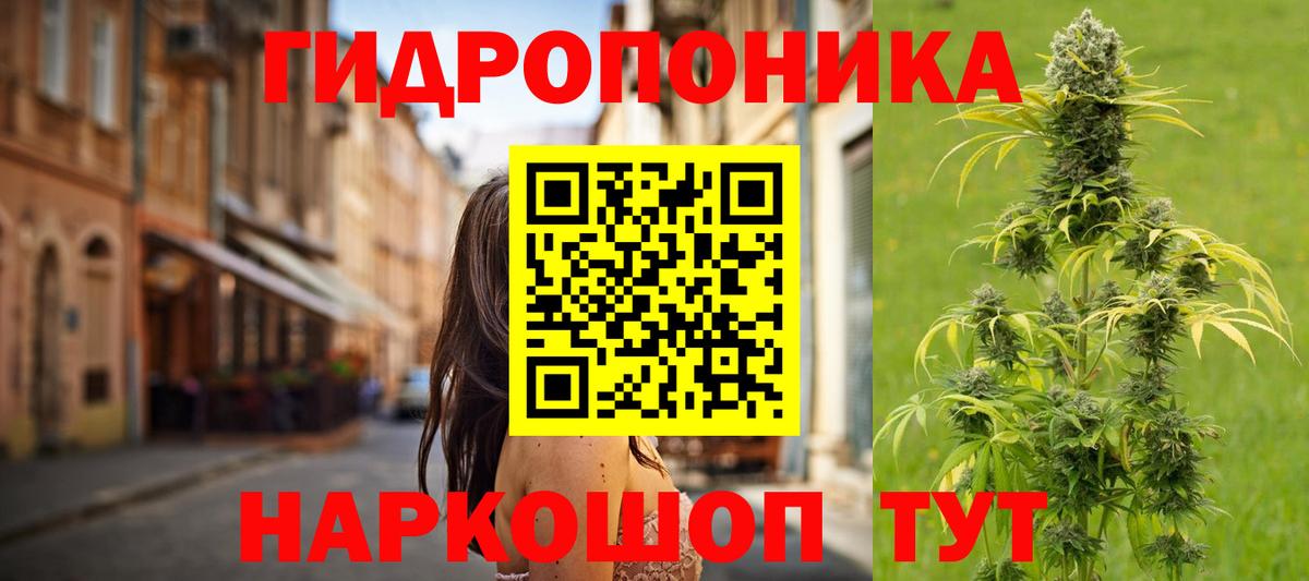 Бошки марихуана VHQ Абакан